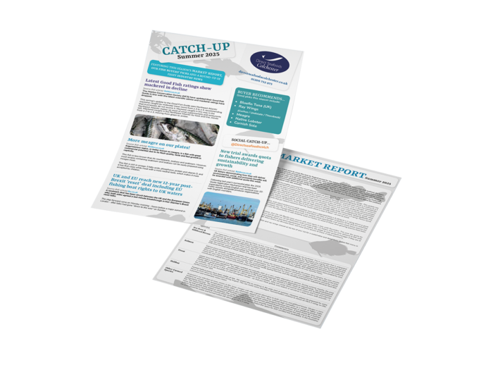 Direct Seafoods Colchester Catch-Up
