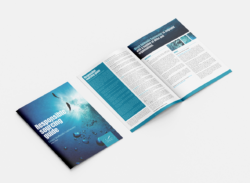 Responsible sourcing guide